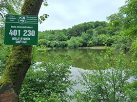 Malý rybník Únětice označení 20.6.24 (4).jpg